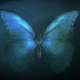 Аватар для Morpho